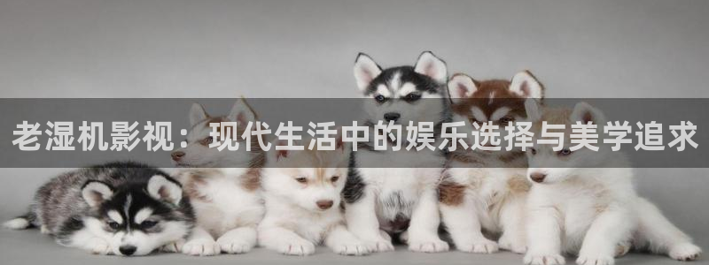 穿梭在韓國影視世界的小說