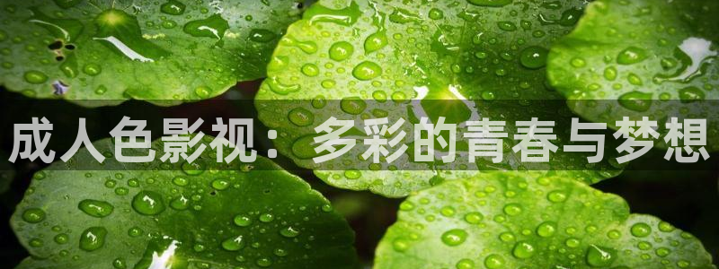 必勝韓國影視